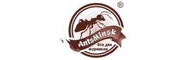 AntsMinsk Промокоды 