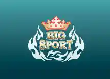Bigsport.by Промокоды 